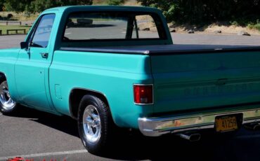 Chevrolet-c10-1977-8