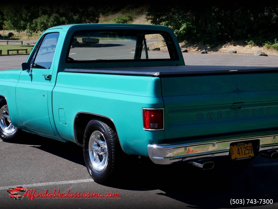 Chevrolet-c10-1977-8