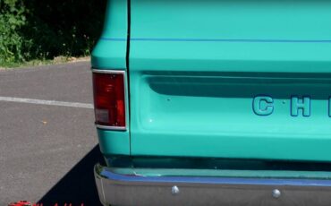 Chevrolet-c10-1977-9