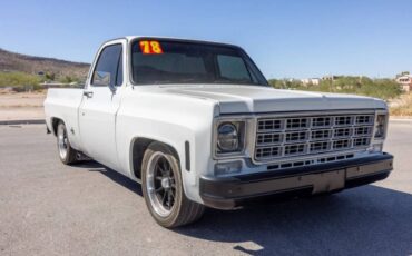 Chevrolet-c10-1978-10