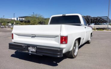 Chevrolet-c10-1978-8