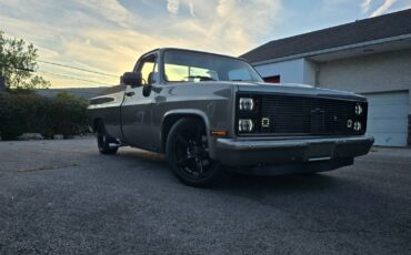 Chevrolet-c10-1985-grey