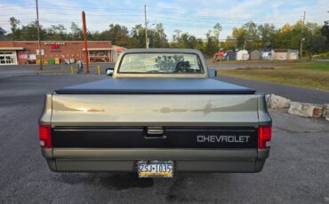 Chevrolet-c10-1985-grey-5