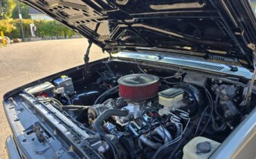 Chevrolet-c10-1985-grey-6