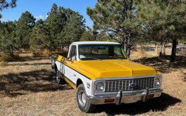 Chevrolet-c10-longbed-1972-yellow-7