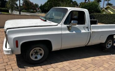 Chevrolet-c10-longbed-1977-white-11