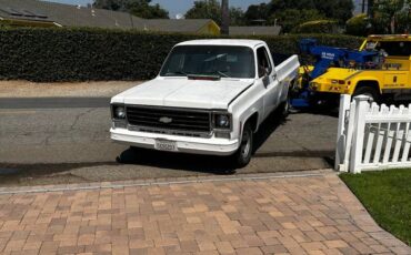 Chevrolet-c10-longbed-1977-white-12