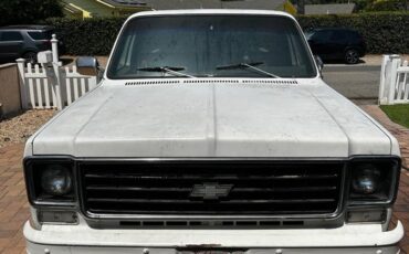 Chevrolet-c10-longbed-1977-white