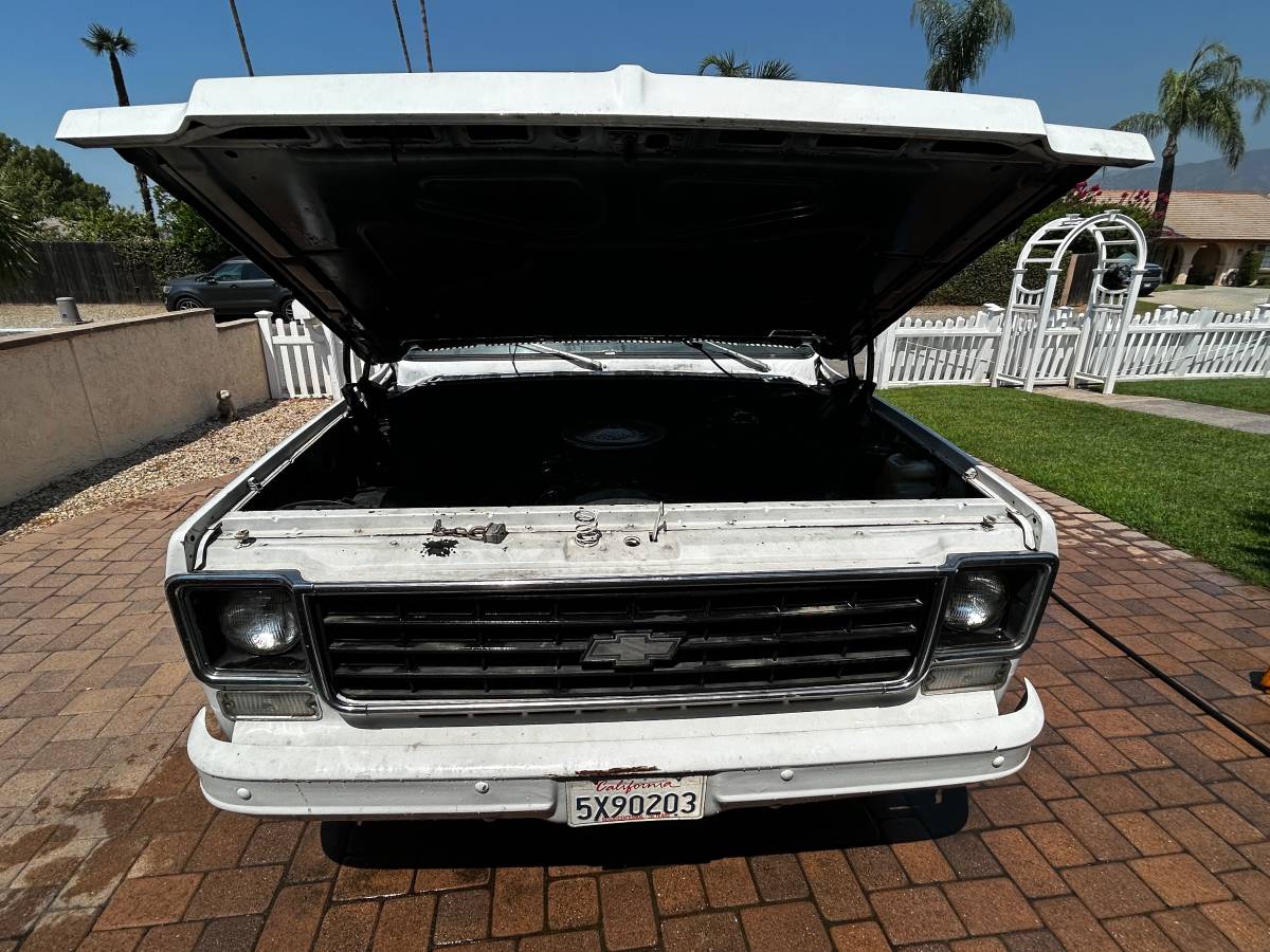 Chevrolet-c10-longbed-1977-white-6