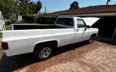 Chevrolet-c10-longbed-1977-white-7