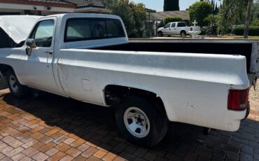 Chevrolet-c10-longbed-1977-white-9