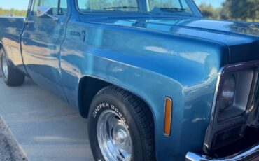 Chevrolet-c10-longbed-1979-blue-2