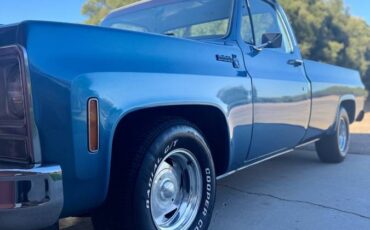 Chevrolet-c10-longbed-1979-blue-3
