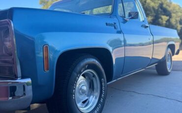 Chevrolet-c10-longbed-1979-blue