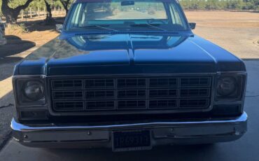 Chevrolet-c10-longbed-1979-blue-4