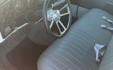 Chevrolet-c10-longbed-1979-blue-5