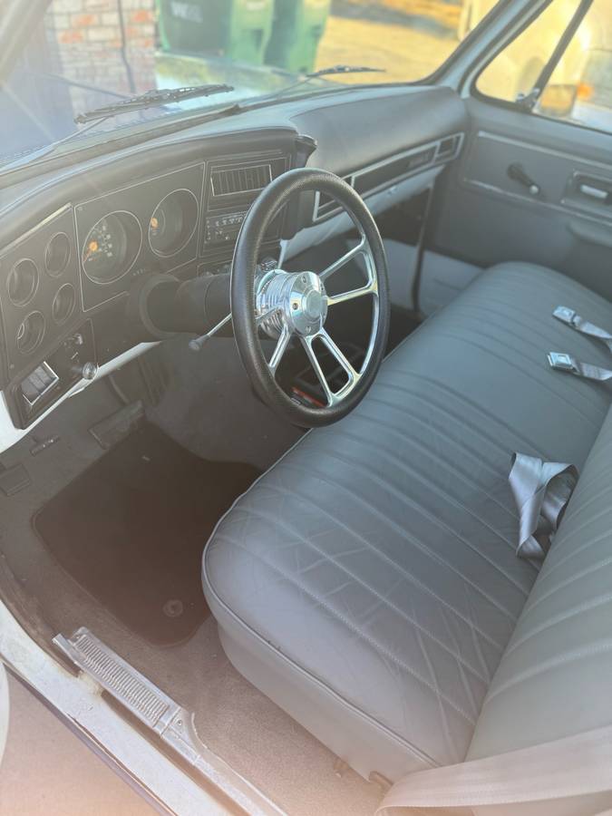 Chevrolet-c10-longbed-1979-blue-5