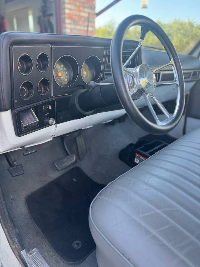 Chevrolet-c10-longbed-1979-blue-6