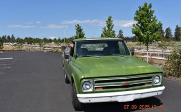 Chevrolet-c10-pickup-1967-green-3