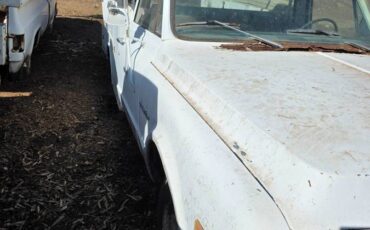 Chevrolet-c10-pickup-1971-white-3