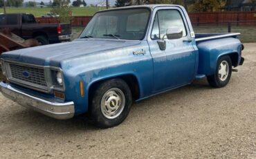 Chevrolet-c10-pickup-1973-blue-10