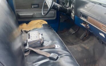 Chevrolet-c10-pickup-1973-blue-13