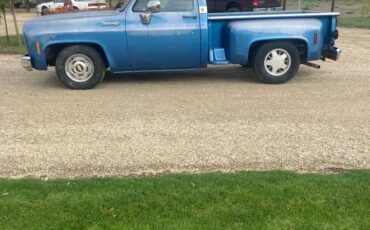 Chevrolet-c10-pickup-1973-blue-3