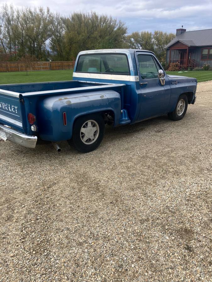 Chevrolet-c10-pickup-1973-blue-5