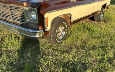 Chevrolet c10 pickup 1978