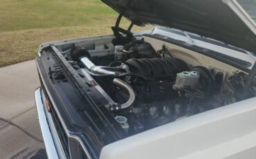 Chevrolet-c10-pickup-1980-white-10