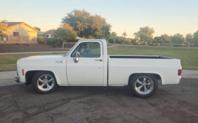 Chevrolet c10 pickup 1980
