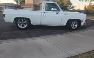 Chevrolet-c10-pickup-1980-white-6