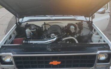 Chevrolet-c10-pickup-1980-white-9