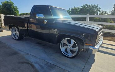 Chevrolet-c10-pickup-1985-grey-2