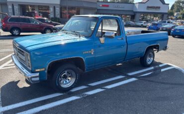 Chevrolet-c10-pickup-1986-3