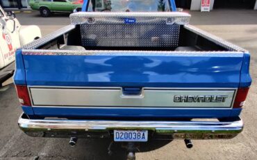 Chevrolet-c10-pickup-1986-4