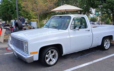 Chevrolet c10 pickup 1987