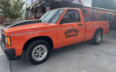 Chevrolet-c10-pickup-1991-6