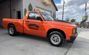 Chevrolet-c10-pickup-1991-8