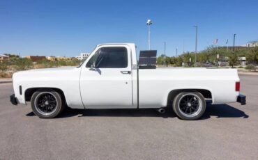 Chevrolet-c10-short-bed-1978-7