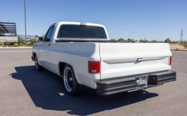 Chevrolet-c10-short-bed-1978-8