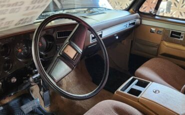 Chevrolet-c10-silverado-1985-brown-1