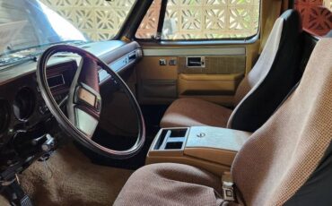 Chevrolet-c10-silverado-1985-brown-3