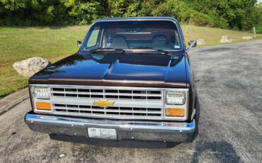 Chevrolet-c10-silverado-1985-brown-8