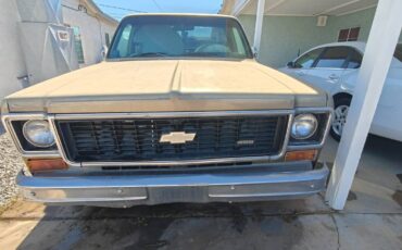 Chevrolet-c10-stepside-1974