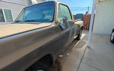 Chevrolet-c10-stepside-1974-5