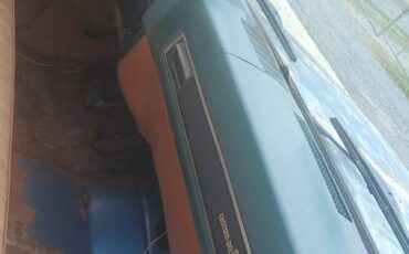 Chevrolet-c10-swb-1978-13