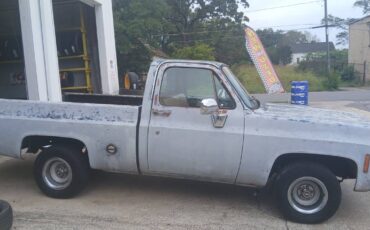 Chevrolet-c10-swb-1978-17