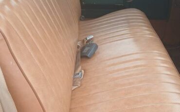 Chevrolet-c10-swb-1978-18