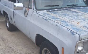 Chevrolet-c10-swb-1978